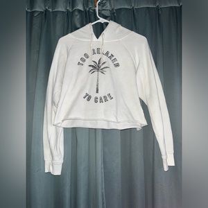 Too Relaxed To Care Cropped Pullover Hoodie (Small)